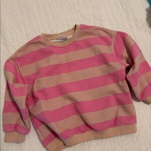Zara Toddler Sweatshirt